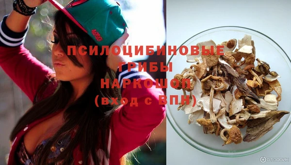 герыч Алексин