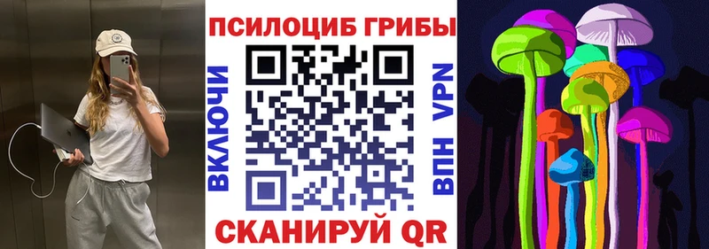 Галлюциногенные грибы Cubensis hydra зеркало Шумиха